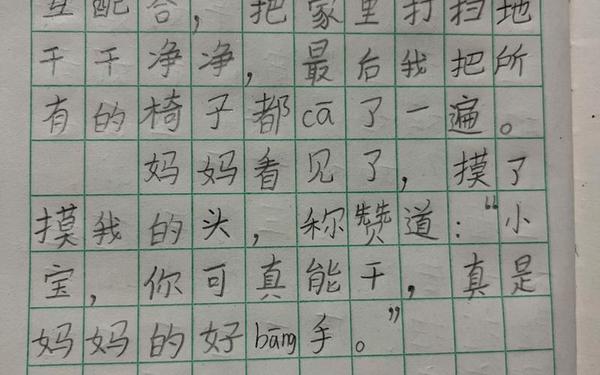 二年级日记30个字;一篇230字的日记