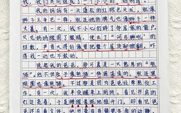 小小动物园作文四年级_小小动物园作文300字