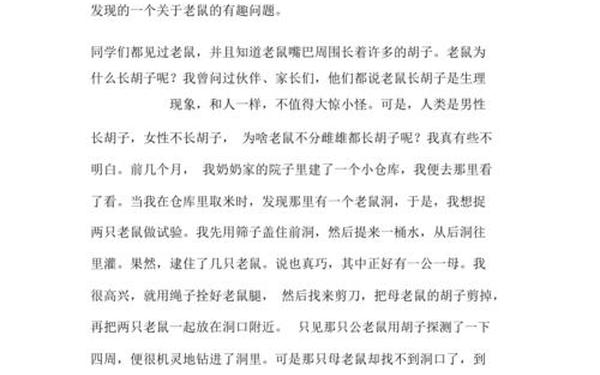 我的发现作文300字 我的发现300字三年级