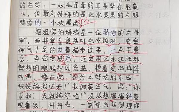 我的动物朋友(我的动物朋友400字四年级下册)