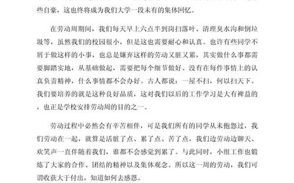 劳动保障个人工作总结(劳动委员一般找什么人)