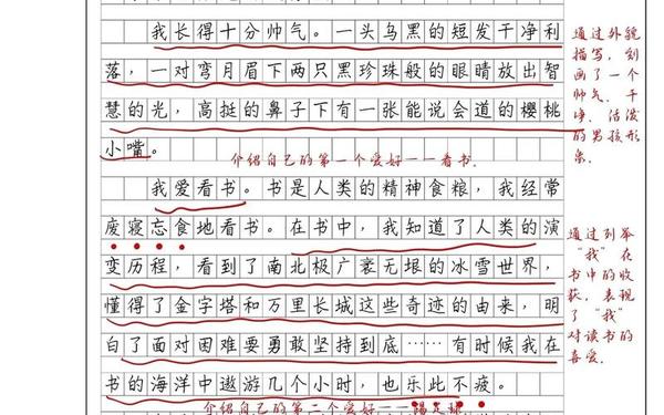 四年级下册作文我学会了,我的自画像作文350字四年级下册