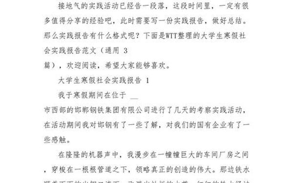 大学生寒假实践报告范文(大学生社会实践报告3000字范文)