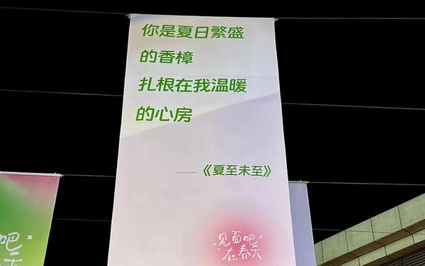 夏至未至唯美语录_夏至未至好的句子