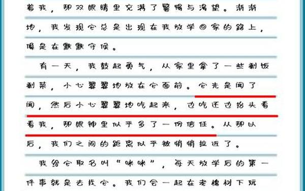 我与动物的故事,我与动物的故事作文600字