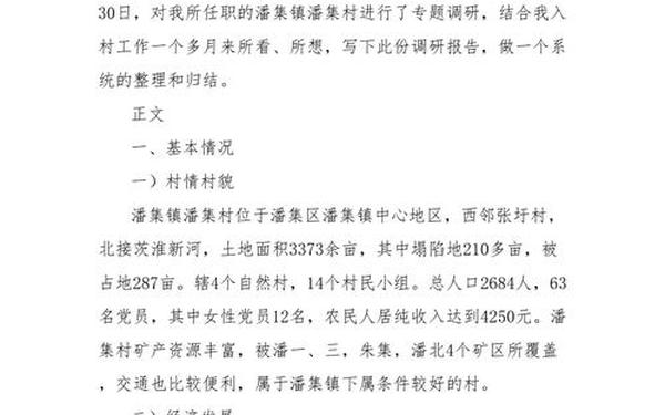 大学生村官调研报告、社会调研报告3000字大学生