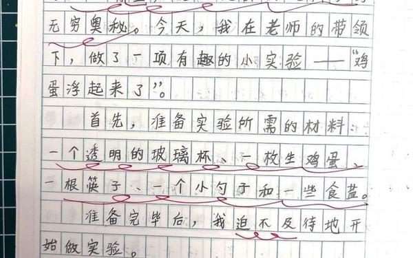 我的一次科学尝试作文_我做了一项小实验300