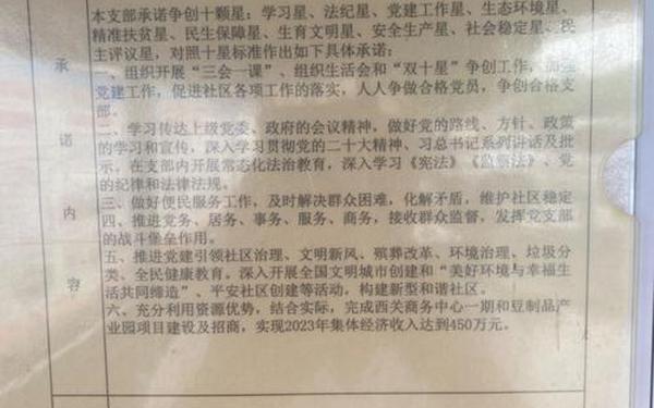 党员公开承诺书共性承诺,党员共性承诺书50字