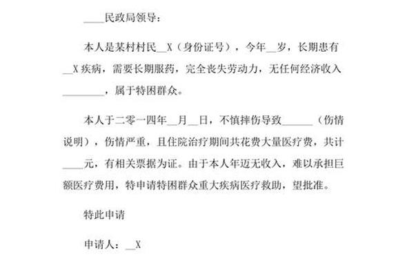 大病救助申请书-大病保险申请书怎么写