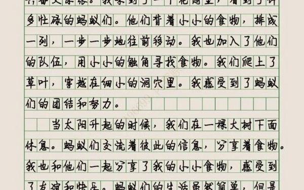六年级上册变形记作文 我有我的角色作文