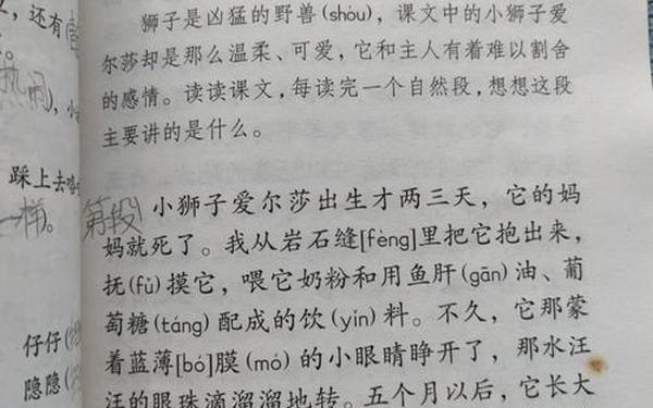 小狮子爱尔莎续写_小狮子爱尔莎读后感