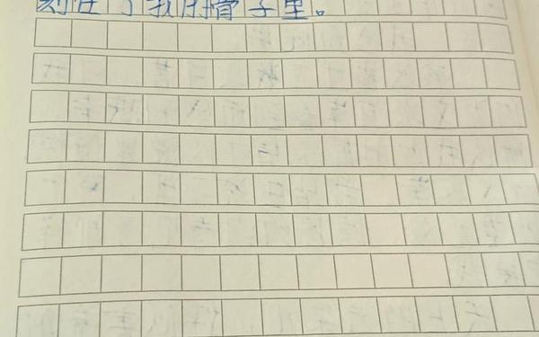 抄写优秀日记100字;初一日记200字