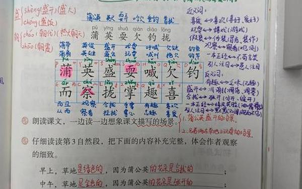 金色的草地教学实录,金色的草地课堂实录优秀