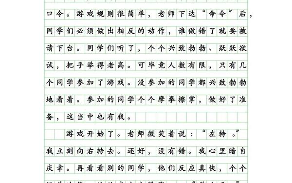 小学生作文精选_小学生作文范文100篇
