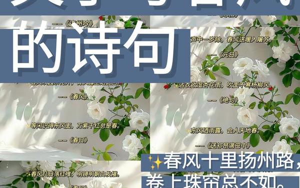 关于植物的诗歌现代 写春风的诗歌现代诗歌