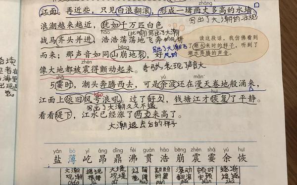 《观潮》课文(第一课《观潮》课文)
