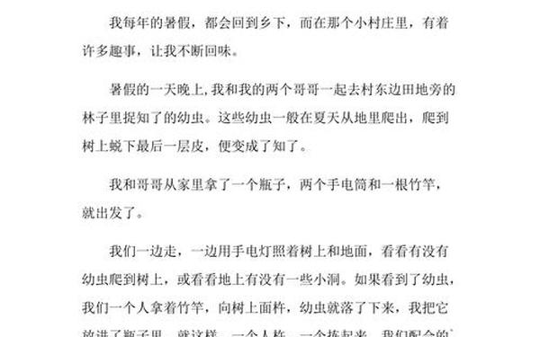 关于乡村生活的作文—团年作文三年级300字