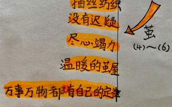 小毛虫教案,《小毛虫》板书设计