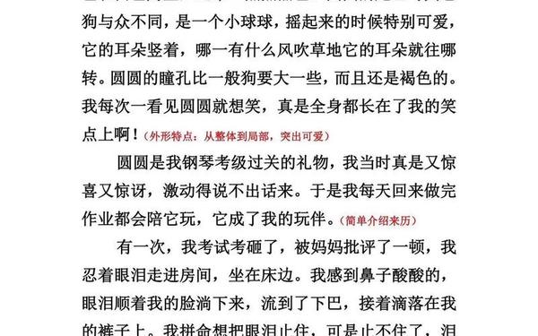 人教版五年级上册语文第一单元作文;9000000000字作文