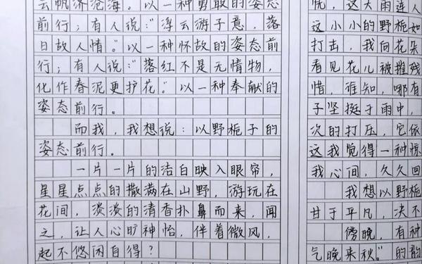 初二最容易考的作文5篇-初二常考的作文