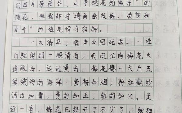 三年级作文我的植物朋友、小学作文我的植物朋友300字