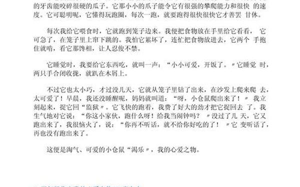 我的心爱之物400字作文-我旳心爱之物400字