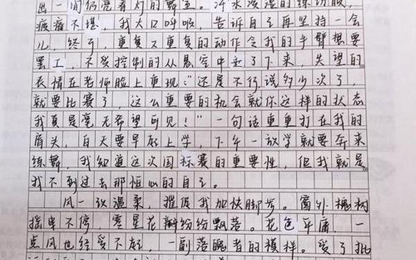 初中生优秀作文精品选 九年级中考作文