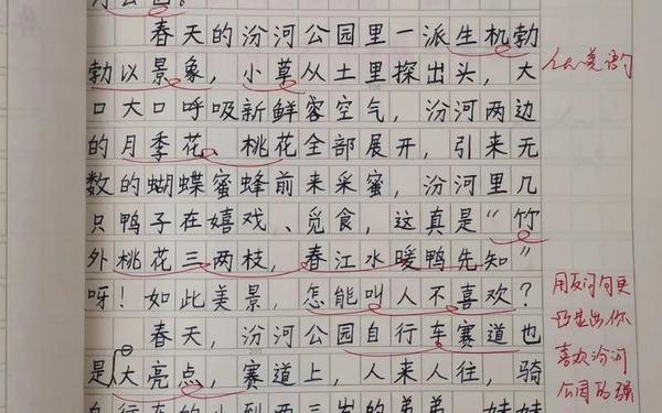 三年级旅游日记300字、春游日记300字三年级下册