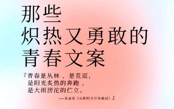 享受生命的春光,激情燃烧的岁月下一句