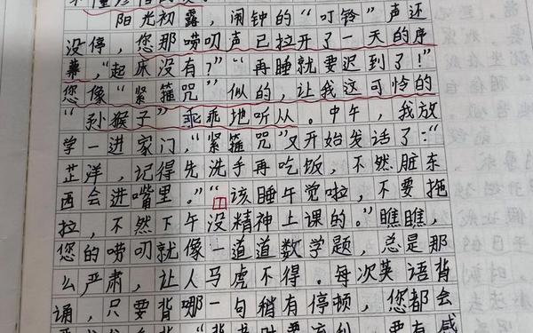 五年级作文范文(10篇优秀作文免费)