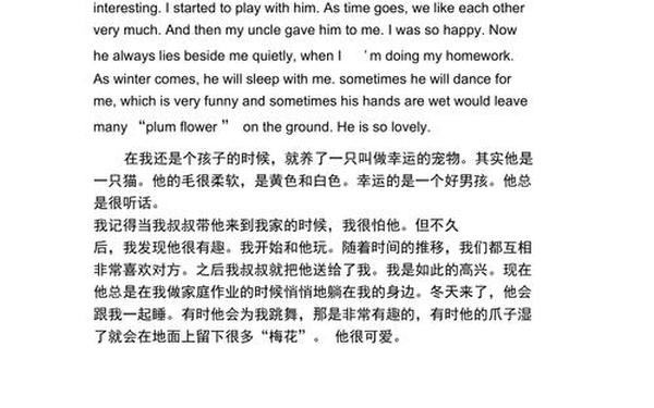 mypet_mypet中文翻译
