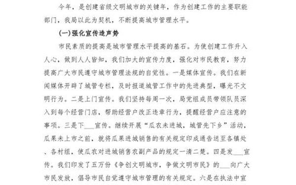 城管年度工作总结;城管执法工作内容