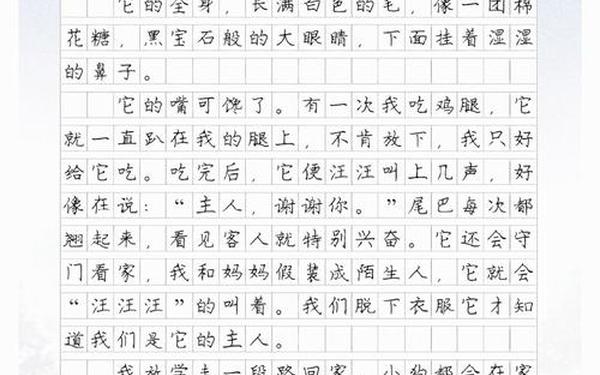 描写狗的作文-狗狗的作文