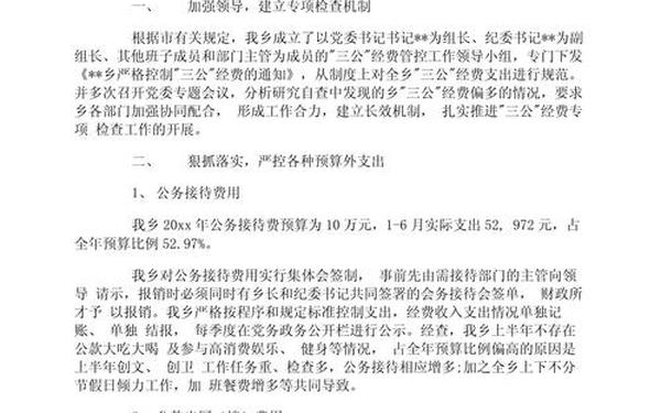 三公经费自查报告-三公经费使用情况报告
