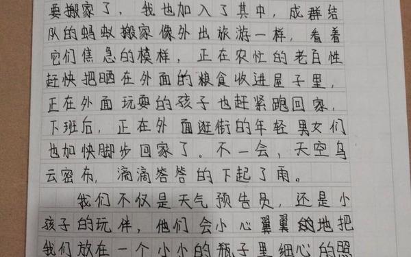 我是一只蚂蚁—我是一只蚂蚁400字