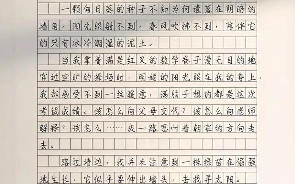 初中作文优美段落摘抄、以治愈为主题的作文