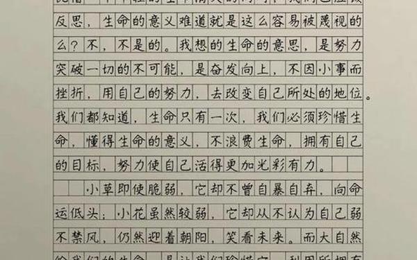 感悟生命的作文、感恩生命的重要性