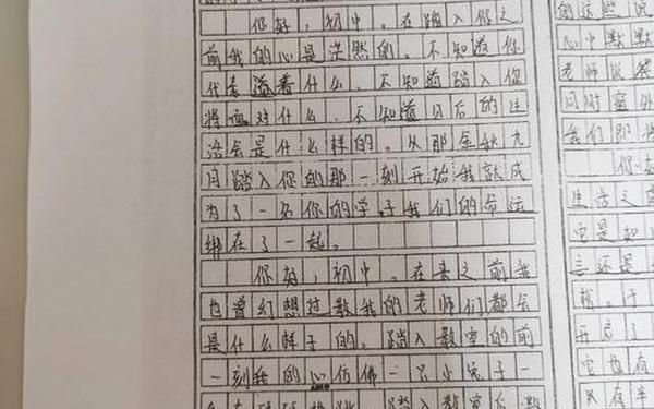 你好独特作文600字初一,《你好,初一》作文600字