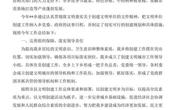 创建文明城市总结—创城工作总结汇报 创建文明城市总结—创城工作总结汇报