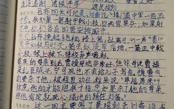 三国演义读书笔记摘抄(草船借箭感悟30字)
