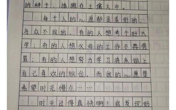 《我的愿望》的作文-自己的心愿作文500字六年级