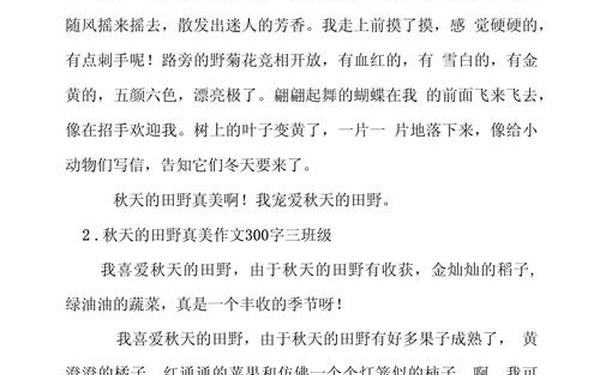 写秋天的作文—三年级秋天作文300字