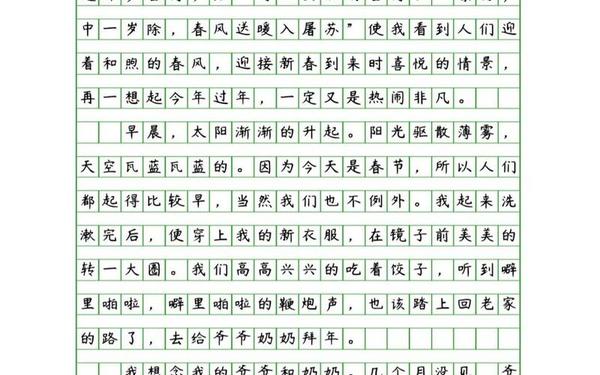 我家的春节作文_我们家的年味作文600字