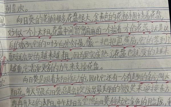 我的一天作文300字,我喜爱的一种植物作文300字三年级