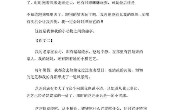 我和小动物的故事作文(《我与____的故事》600字)