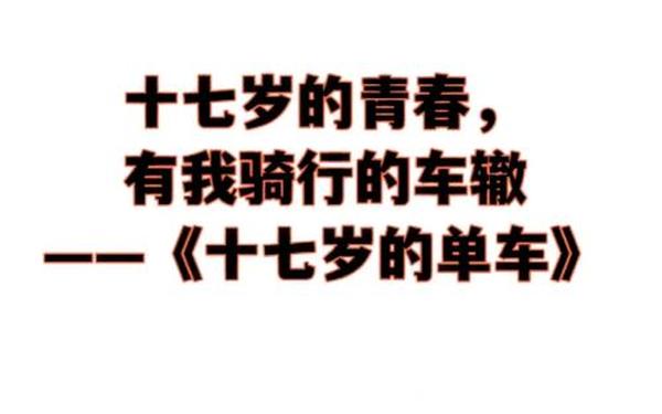 十七岁的单车观后感;十七岁的单车简介