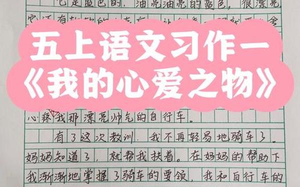 我的心爱之物五年级优秀作文,我的心爱之物 五年级作文