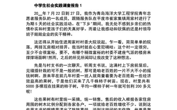 学生社会实践调查报告 社会调查内容怎么写中学生
