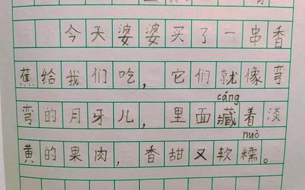 二年级一天一篇小日记 二年级每天日记