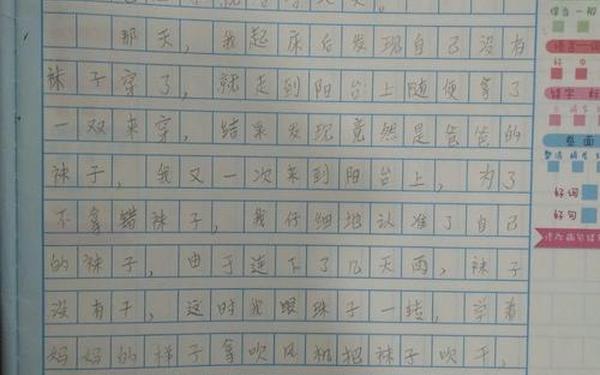 寒假趣事作文350字-寒假趣事350字优秀作文